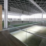 Villa Romana de la Olmeda